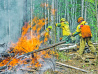 Количество лесных пожаров в Хабаровском крае не уменьшается