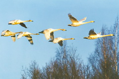 С чего начинается осень