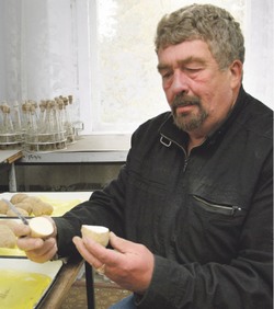 Откуда картофель? Лазовский, вестимо...