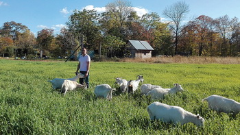Игорь Даниленко оформил «дальневосточный гектар» и начал разводить коз