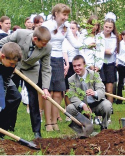 Растим сыновей, строим дома, а дерево посадить не можем