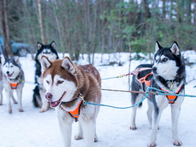 Чудеса Хабаровского края на туристическом портале