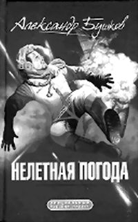 Сладкие плоды нелетной погоды