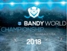 Чемпионат мира по бенди возвращается в Хабаровск