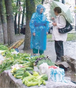 Дачники собирают урожай штрафов