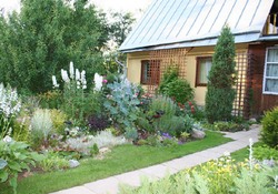 Шесть дачных соток