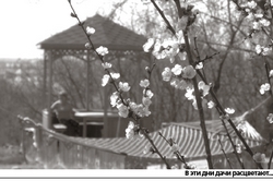 Синоптики нам солнце обещают