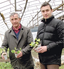 Как обмануть погоду