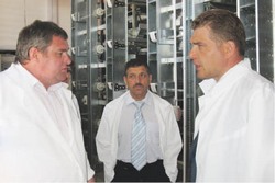 Хабаровские куры в итальянской клетке