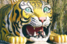Тигры чаще забредают в Хэйлунцзян