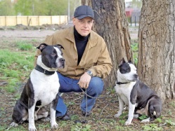 Всё-таки на кого повесить всех собак