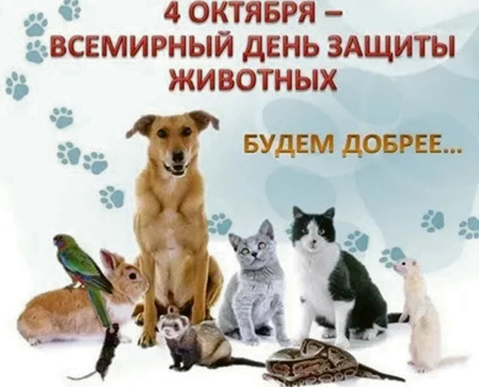 4 октября – Всемирный день защиты животных
