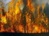 Два лесных пожара действуют в крае
