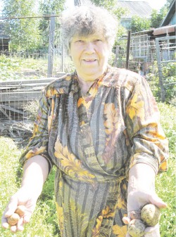 Наводнение во дворе