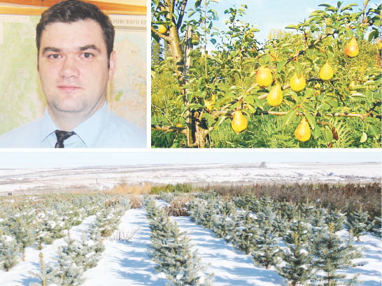 Есть ли будущее у питомников имени Лукашова и Шуранова