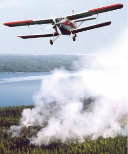 Новый кодекс стал самым спорным