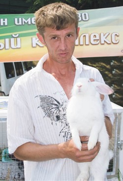 Купить на ярмарке можно всё, кроме кроликов