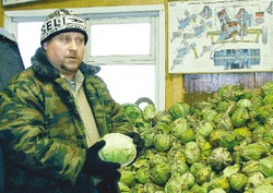 Когда же помидор свой с базара понесём