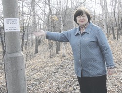 Пик активности клещей приходится на май-июнь