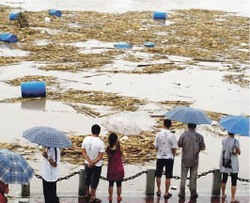 Контроль за Амуром ведётся круглосуточно