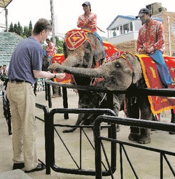 Международному туризму кризис не помешал