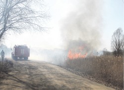 Попробуй на два рубля гектар потушить