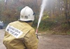 На Дальнем Востоке 20 тысяч добровольцев буду охранять лес от пожаров