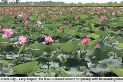 Millions of kilometers