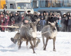Почём на нашем севере невесты?