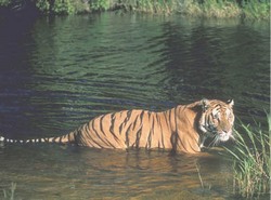 Что потом считать мы будем