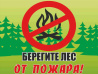 Пик летних лесных пожаров пройден в Хабаровском крае 