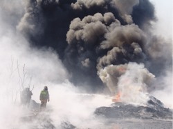 Загорелись… пруды