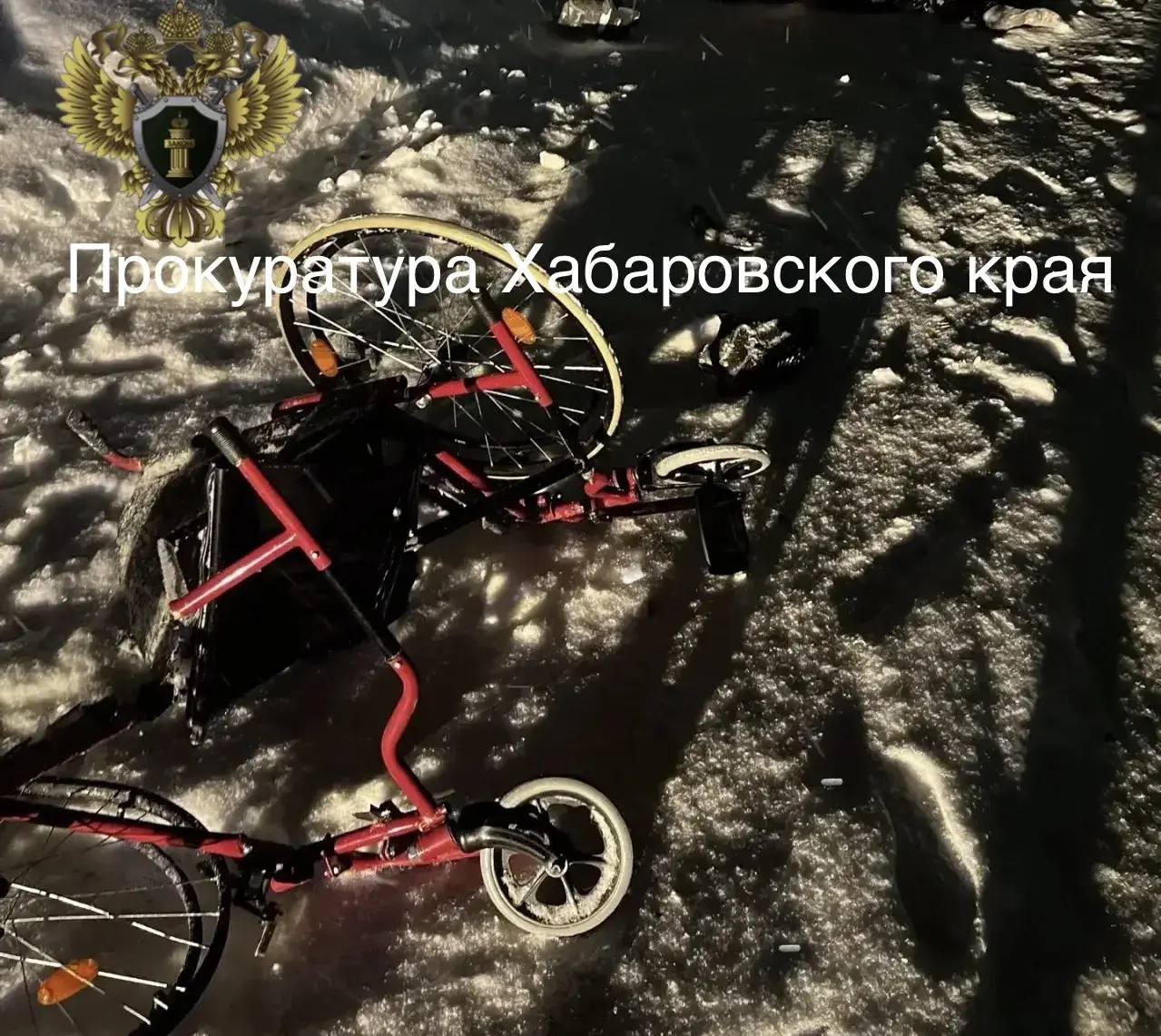 Водитель «Лексуса», насмерть сбивший инвалида, взят под стражу в Николаевске