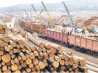Рекорды по импорту древесины