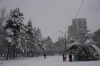  В Хабаровск пришла настоящая зима