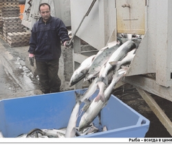 Апрель: марш на месте лучше, чем назад