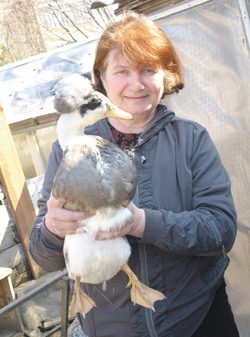 Птичник - с миру по нитке