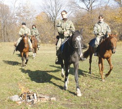 Кавалерия тигру друг