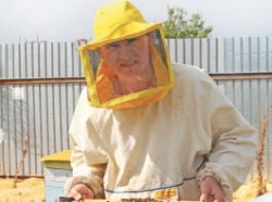 Пчелы не хуже оленей!  