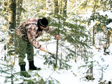 Ёлочный бизнес мелкий, ущерб крупный