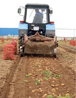 Селяне ищут сено и покупателей