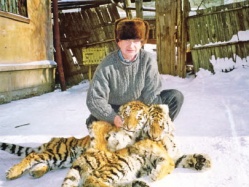 Важнее тигра кошки нет