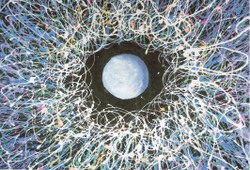 На грани двух миров