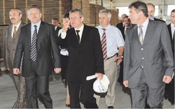 17 миллиардов рублей - в лесной комплекс края