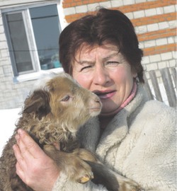 Привет от барашка