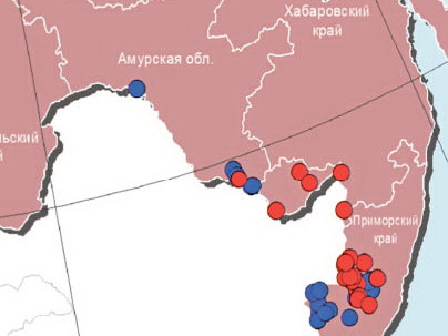 Опять чума на оба наших района