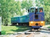 В Хабаровске состоялось торжественное открытие 53-го сезона работы Дальневосточной детской железной дороги.