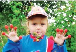 Выбираю год Малины