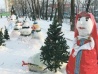 Дед Мороз за рулём  