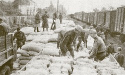 И в тылу ковалась победа